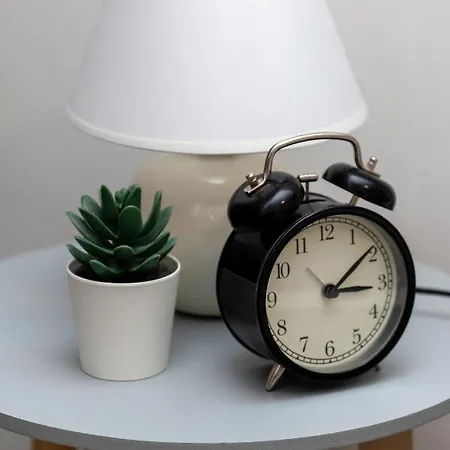 Apartment Wanderer 3